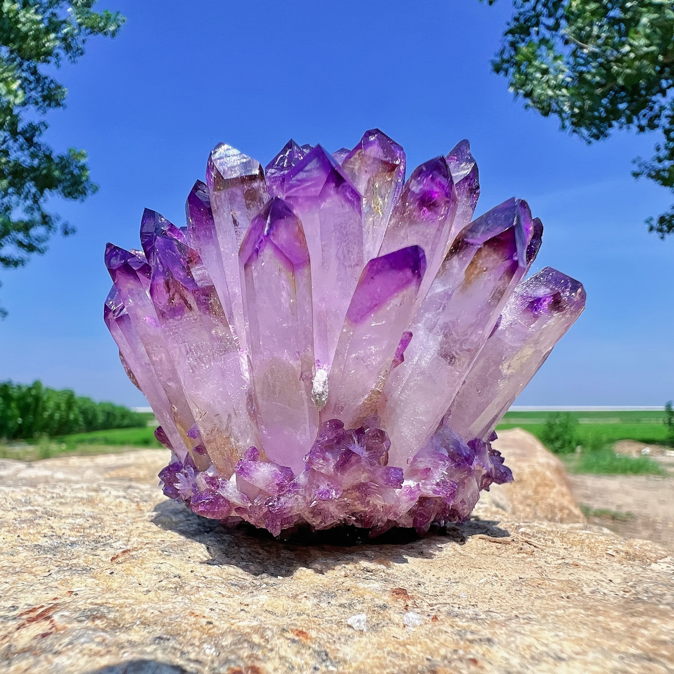 Grappes d'Améthyste Naturelle - Formations de Cristaux de Violet Foncé à Violet Lavande, Décoration Élégante pour Maison et Bureau, Décoration Spirituelle, Cadeau Parfait pour Noël, Halloween, Thanksgiving, Anniversaires - Pierre Naturelle Durable pour Pr